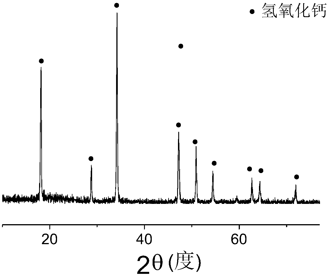 Preparing method of nanometer calcium hydroxide powder material for fixing ancient murals