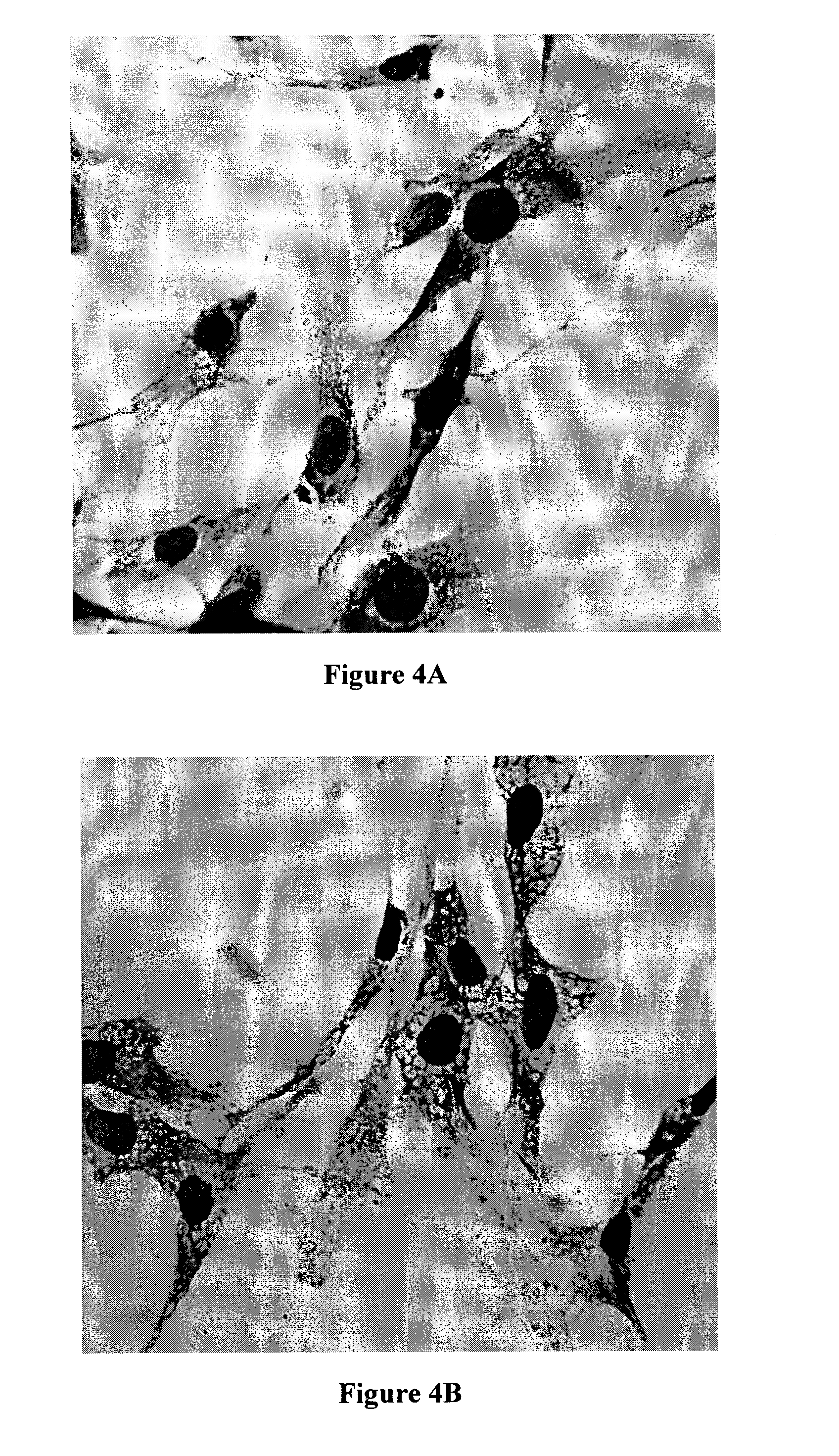 Substituted Tetrahydroisoquinoline Compounds for Cancer Therapy