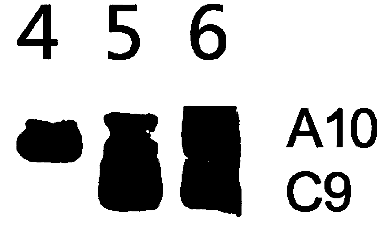 Molecular marker for identifying interspecific hybrids of Chinese cabbage and brassica carinata and separation conditions of A10 and C09 chromosomes of progeny materials