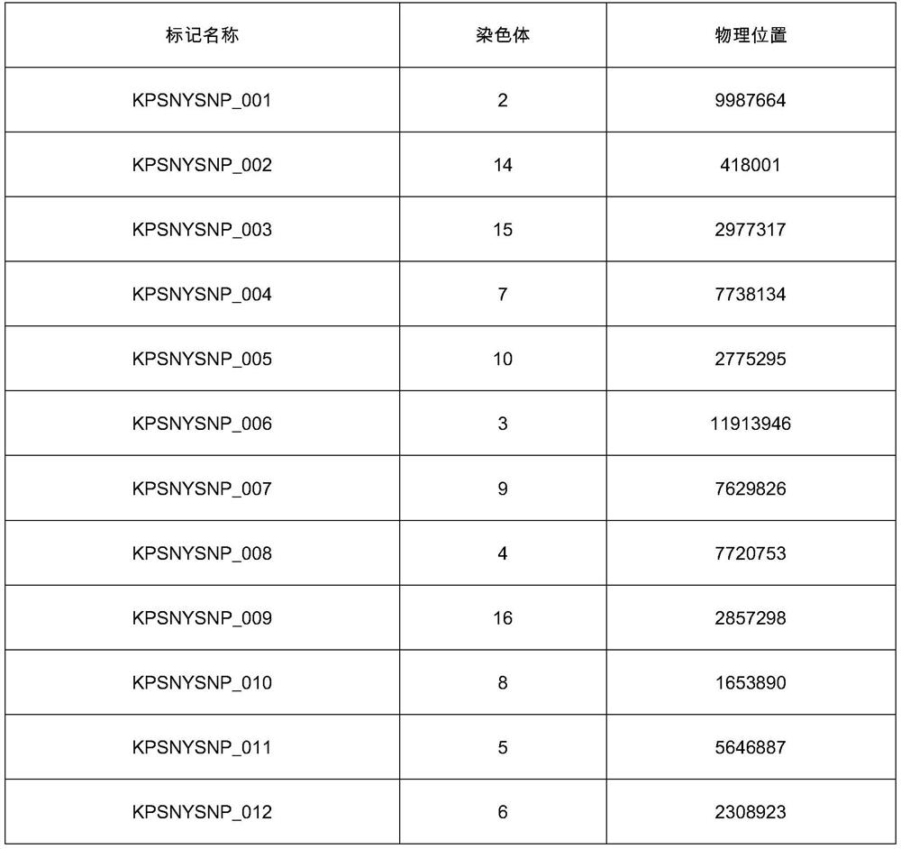 SNP molecular marker combination for identification of genetic relationship of pigs, application and method