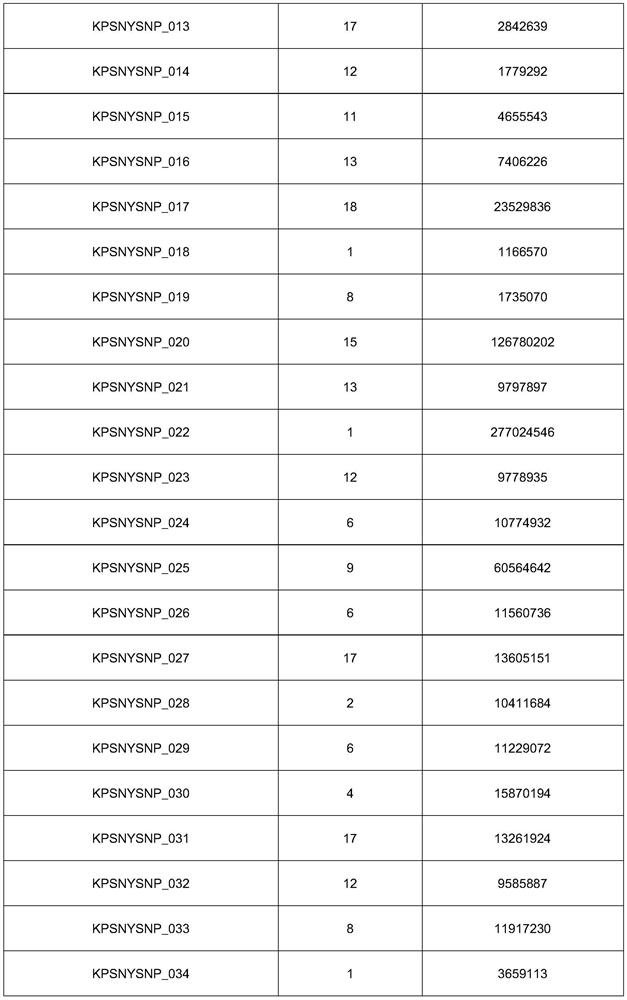 SNP molecular marker combination for identification of genetic relationship of pigs, application and method