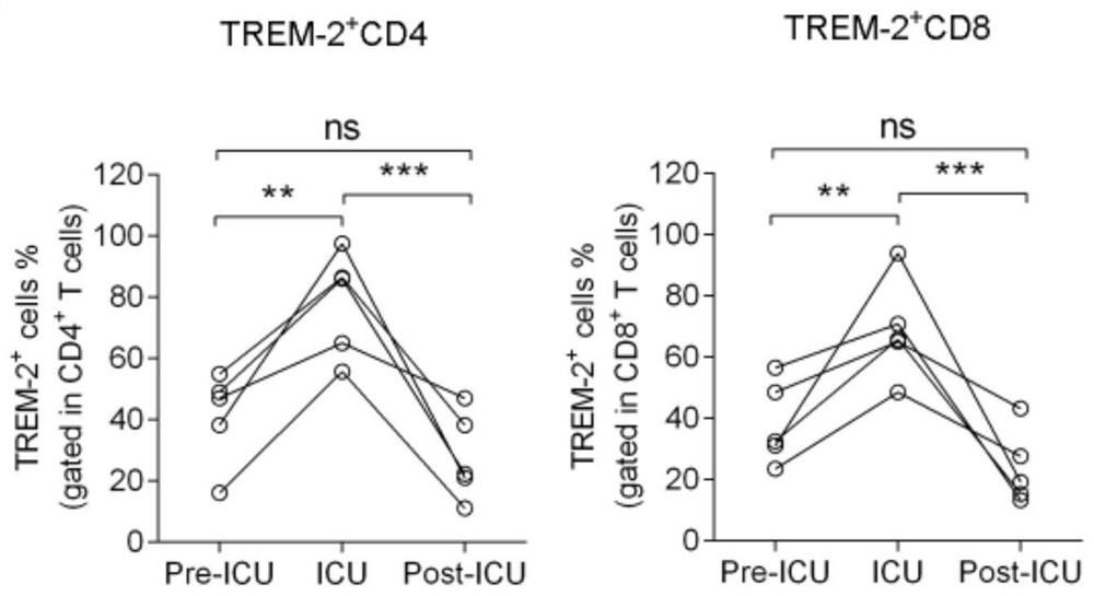 Application of myeloid cell triggering receptor 2 as a novel coronavirus pneumonia diagnosis or treatment target