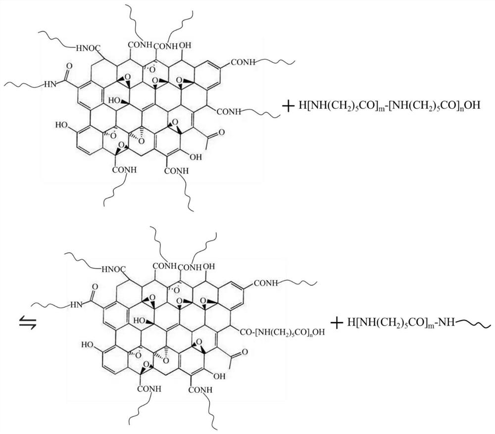 A kind of amidated graphene/nylon 6 nanocomposite material and preparation method thereof