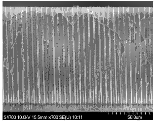 Device and application method for depositing film on side wall of micro-channel plate by using pressure difference