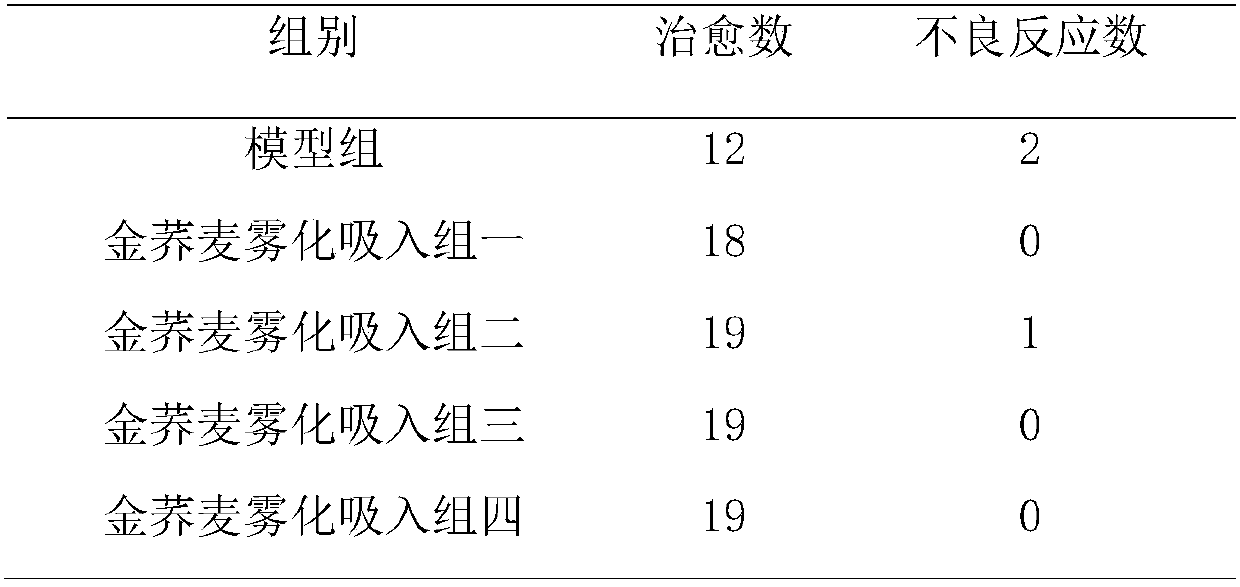 Fagopyrum dibotrys solution preparation for aerosol inhalation and preparation method thereof