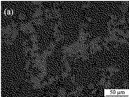 Boron carbide-silicon carbide complex ceramic and preparation method thereof