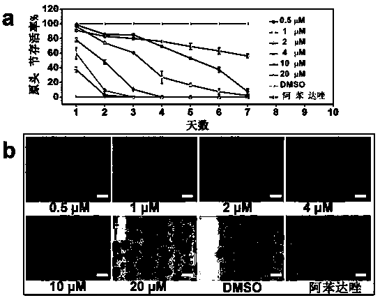 Anacardic acid as an inhibitor of glyceraldehyde triphosphate dehydrogenase in echinococcosis and as a drug for echinococcosis