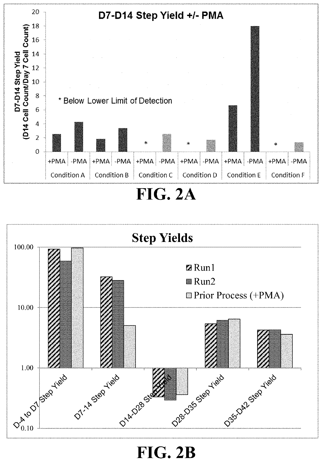 Dorsally-derived oligodendrocyte progenitor cells from human pluripotent stem cells