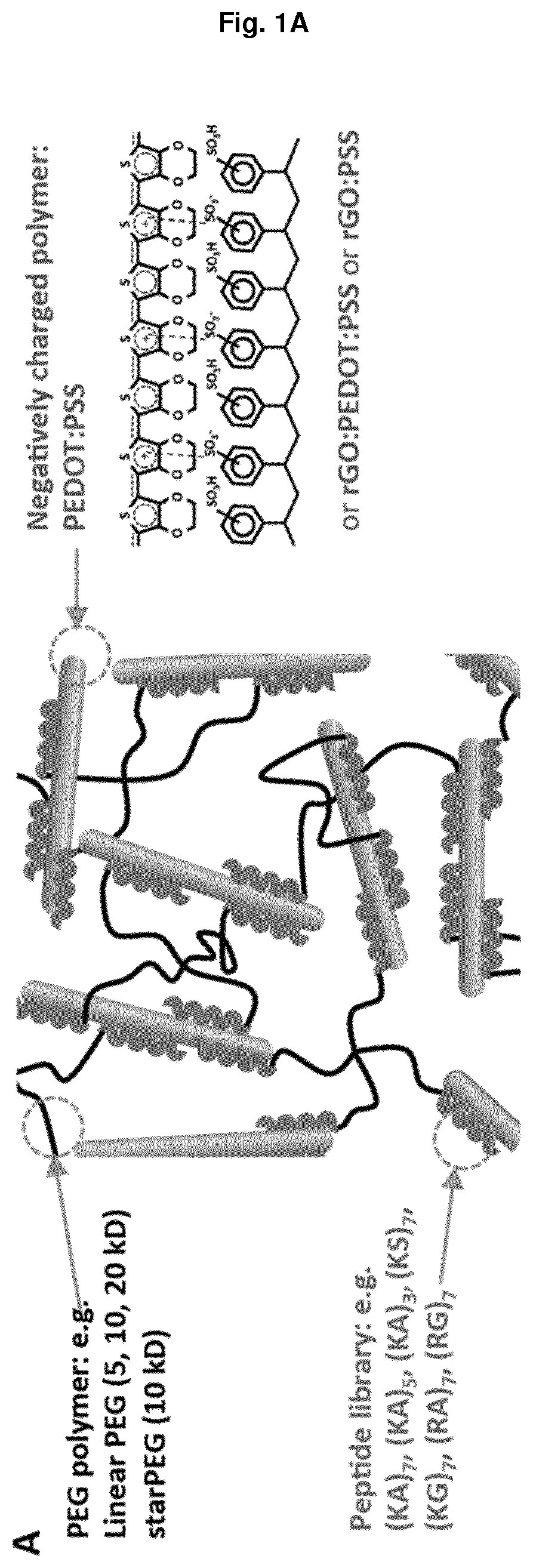 Non-covalently assembled conductive hydrogel