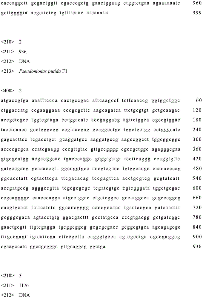 Colibacillus engineering bacterium taking glucose as substrate for synthesizing muconic acid