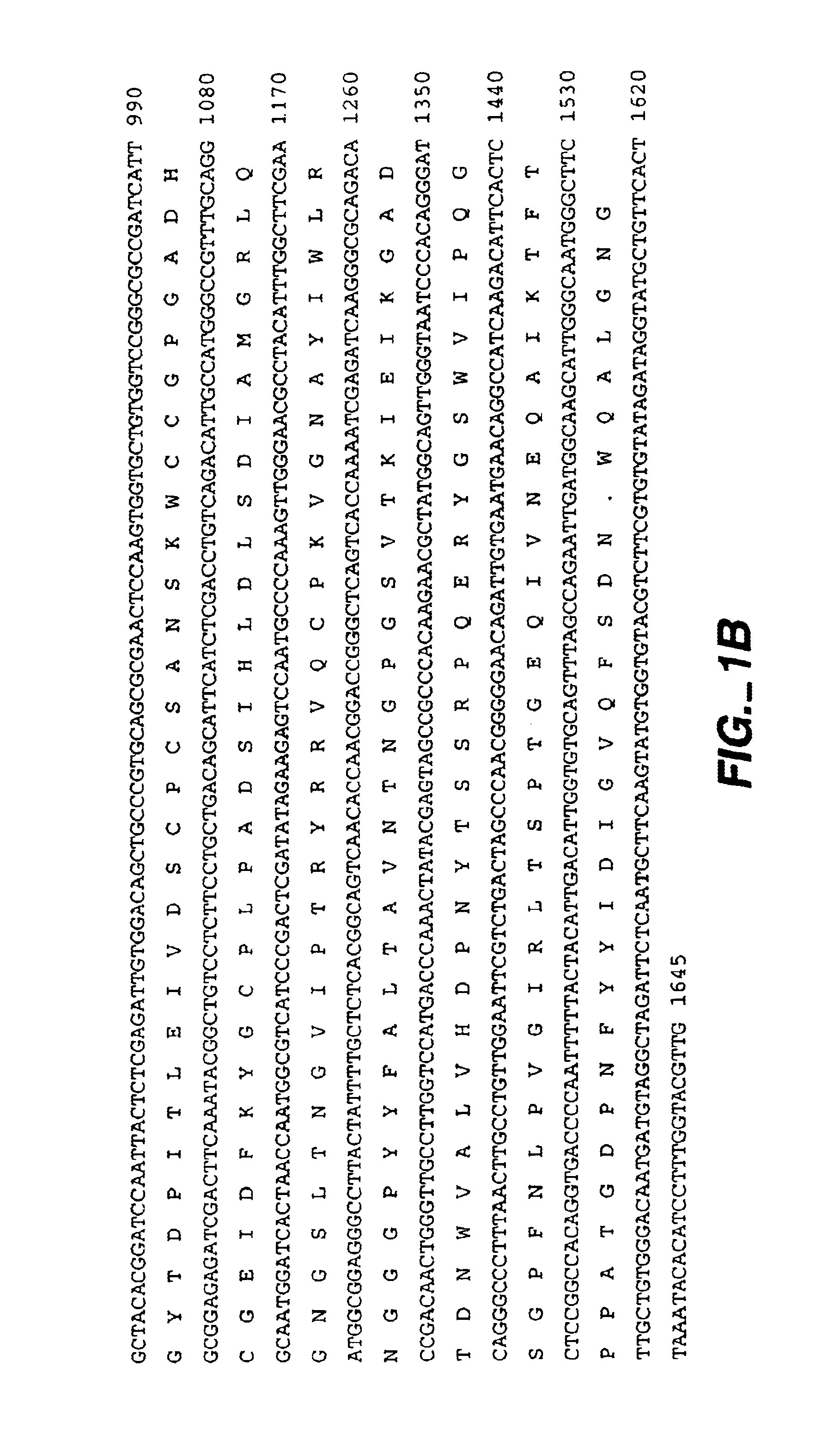 Microbial swollenin protein, DNA sequences encoding such swollenins and method of producing such swollenins