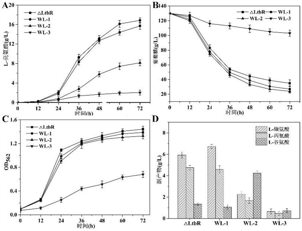 Recombinant Corynebacterium glutamicum capable of effectively utilizing pyruvate and its construction and application