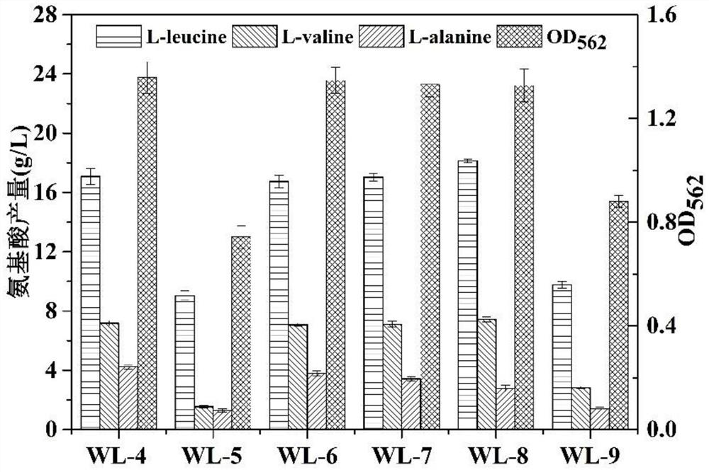 Recombinant Corynebacterium glutamicum capable of effectively utilizing pyruvate and its construction and application