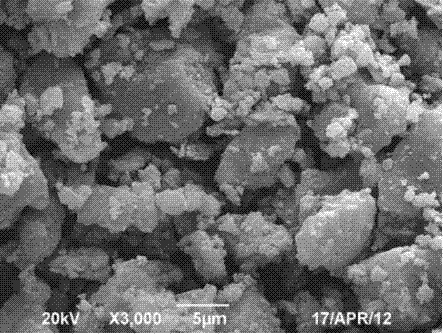 Preparation method of diatomite heavy-metal adsorption material