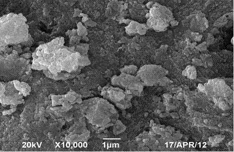 Preparation method of diatomite heavy-metal adsorption material