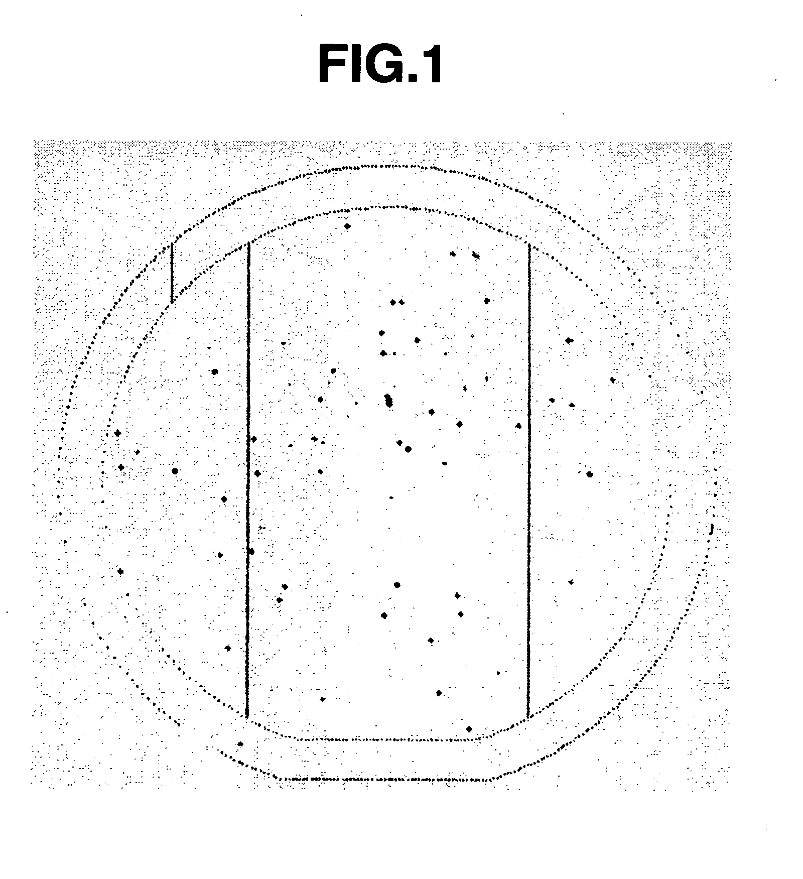 Varnish Containing Good Solvent And Poor Solvent