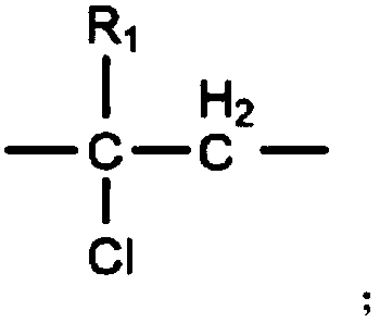 Anionic chlorine-containing amphiphilic polymer and preparation method thereof