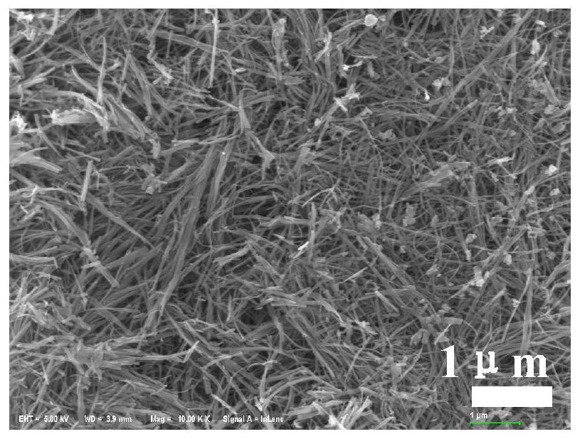 A kind of preparation method of platinum-modified titanium dioxide nanowire filter membrane