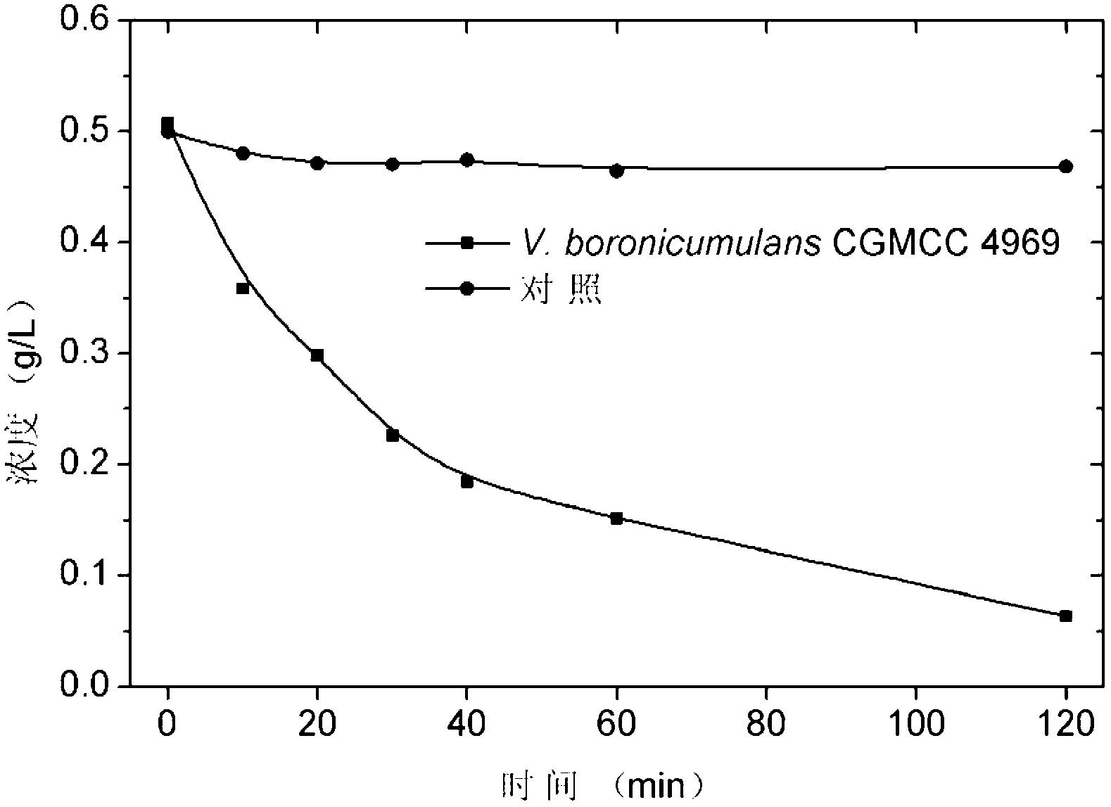 Amidase gene of Variovorax boronicumulans CGMCC 4969, and its application in biological degradation of acrylamide