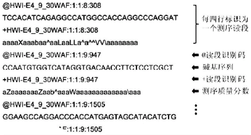 Gene sequencing data reading method and system