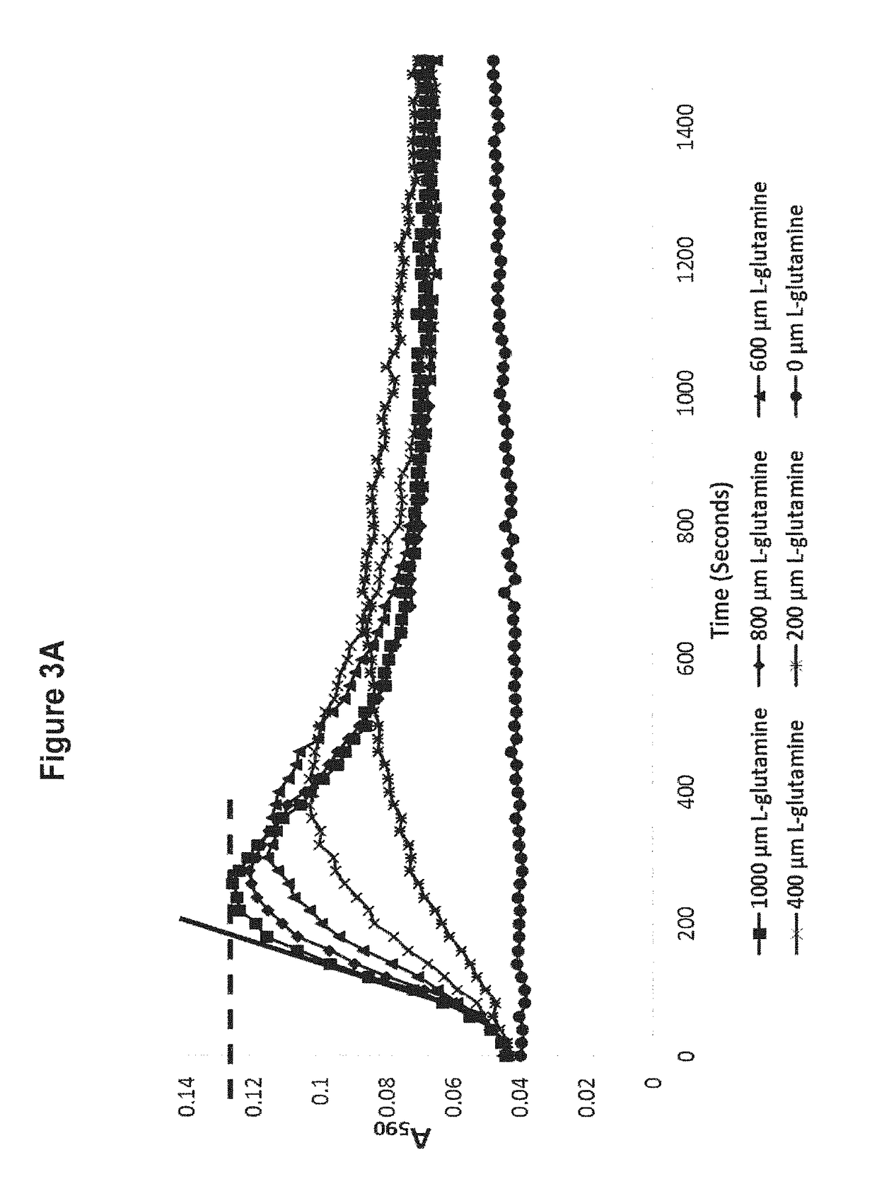 Methods of detecting and measuring glutamine and analogues thereof, and methods related thereto