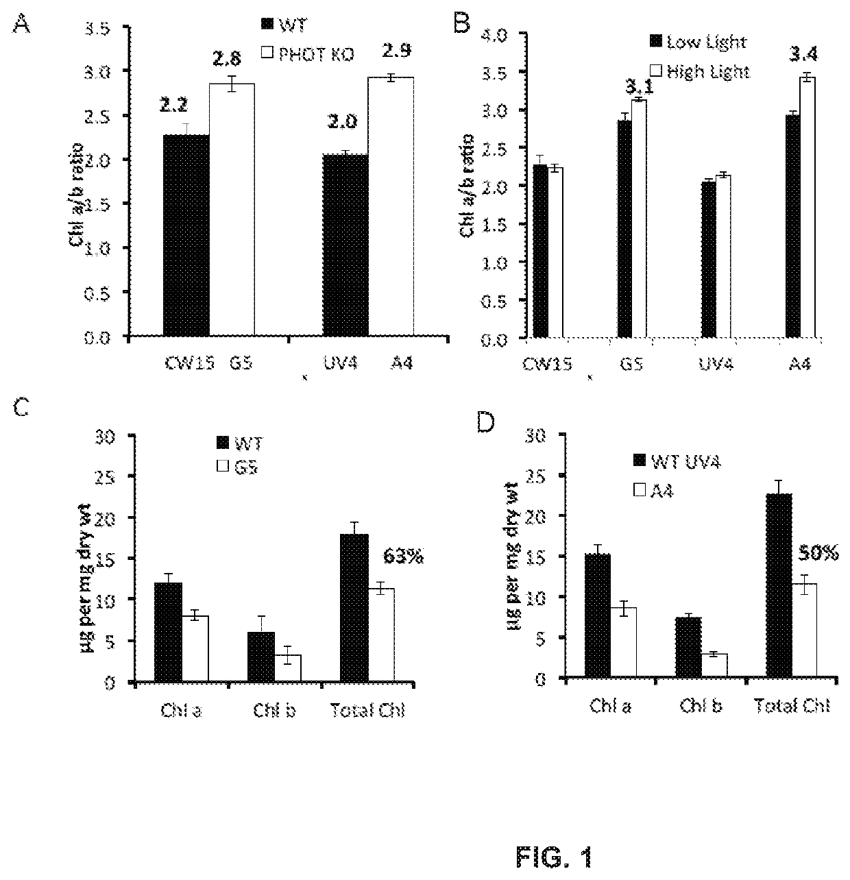 Productivity and Bioproduct Formation in Phototropin Knock/Out Mutants in Microalgae