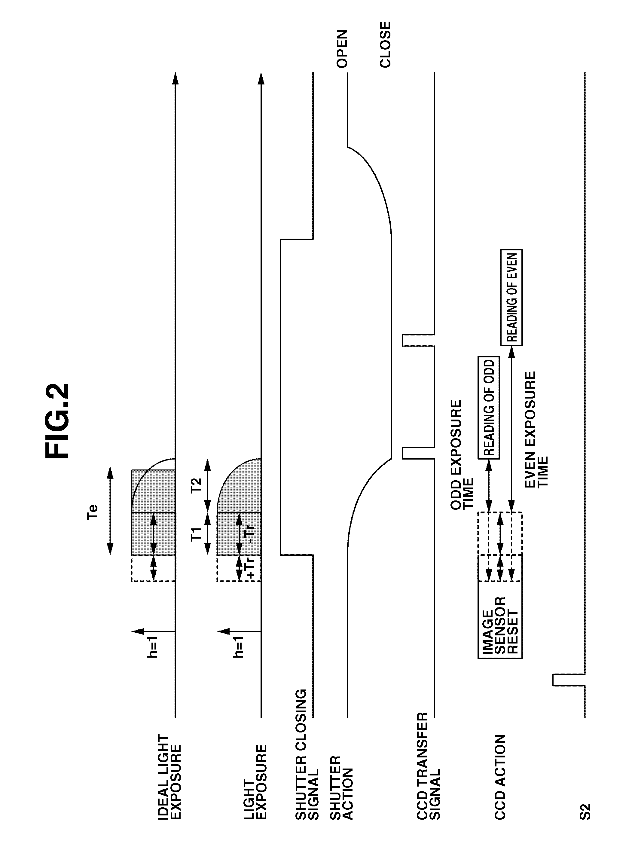 Optical apparatus