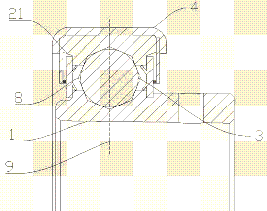 A double outer ring full ball bearing