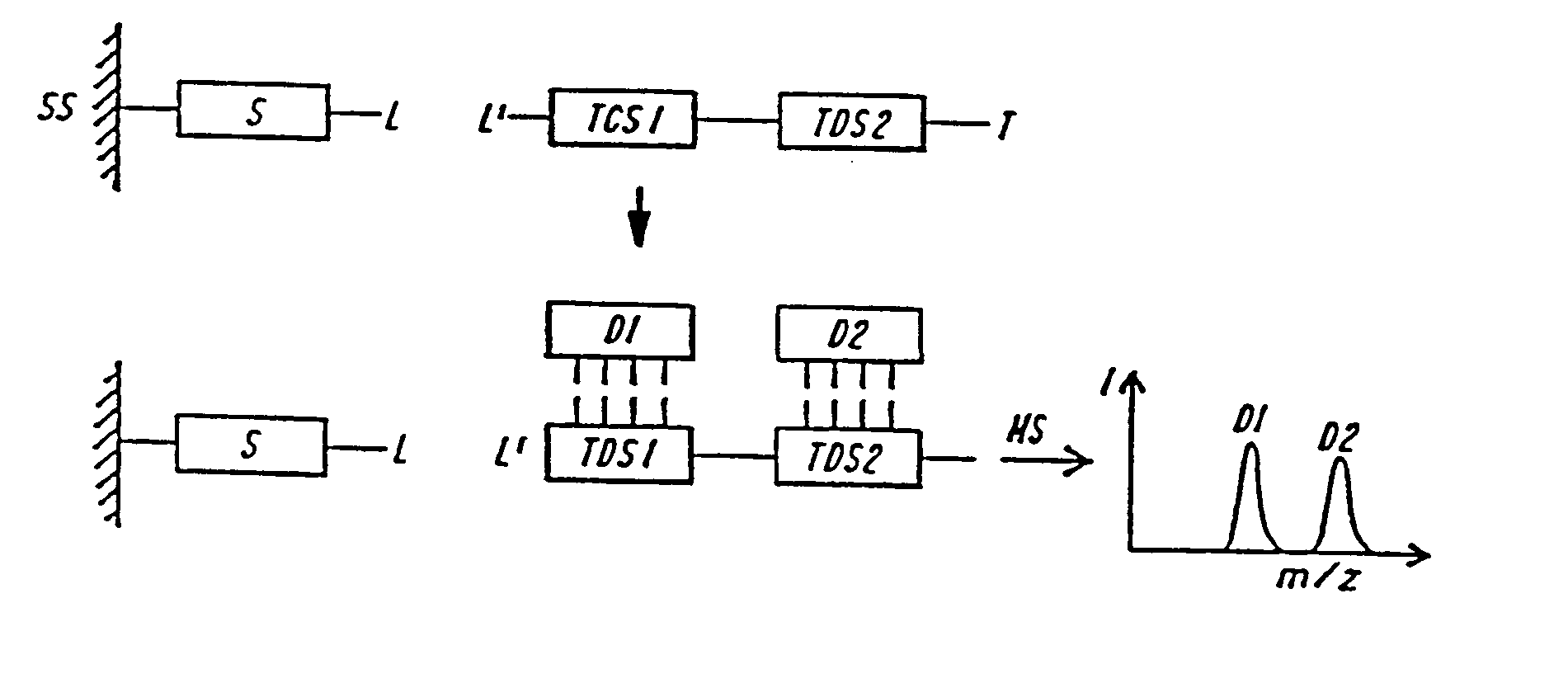 DNA diagnostics based on mass spectrometry