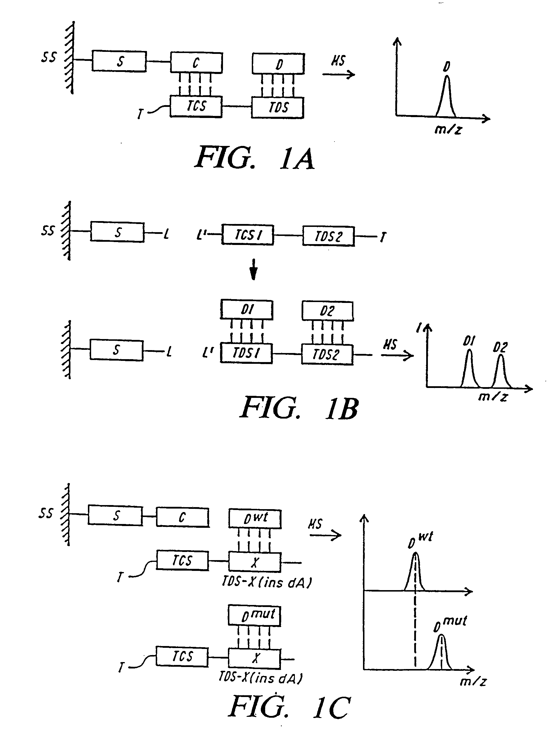 DNA diagnostics based on mass spectrometry