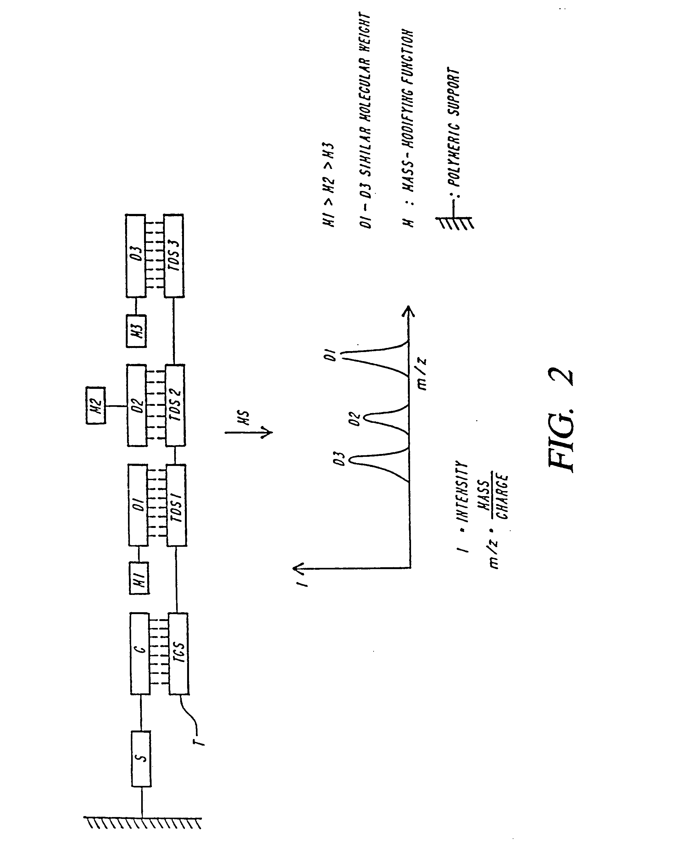 DNA diagnostics based on mass spectrometry