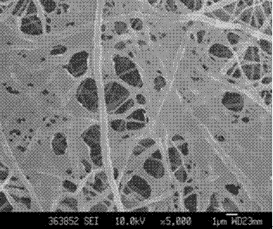 Electrostatic spinning nanofiber-extracellular matrix composite material as well as preparation method and application thereof