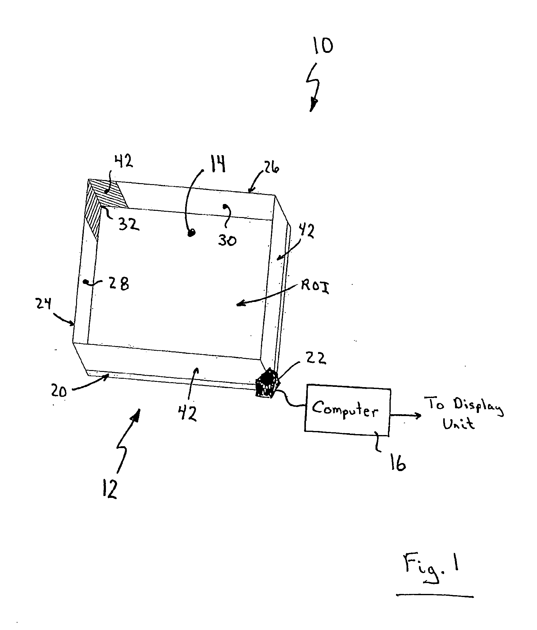 Apparatus for determining the location of a pointer within a region of interest