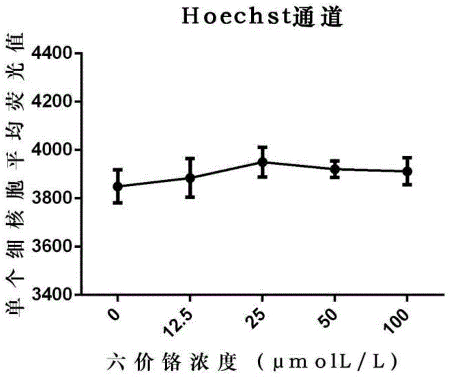 Evaluation method for measuring cell DNA damage caused by soluble heavy metal