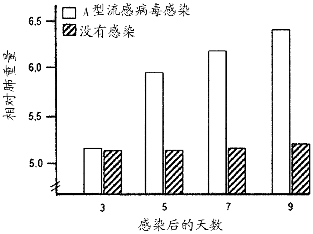 Composition comprising a peptide and an inhibitor of viral neuraminidase