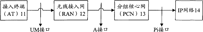 System and method for realizing wireless video conferencing