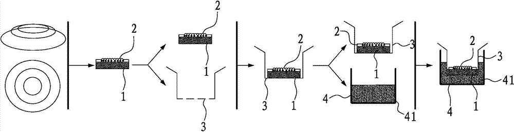 Preservation method for corneal limbus tissue