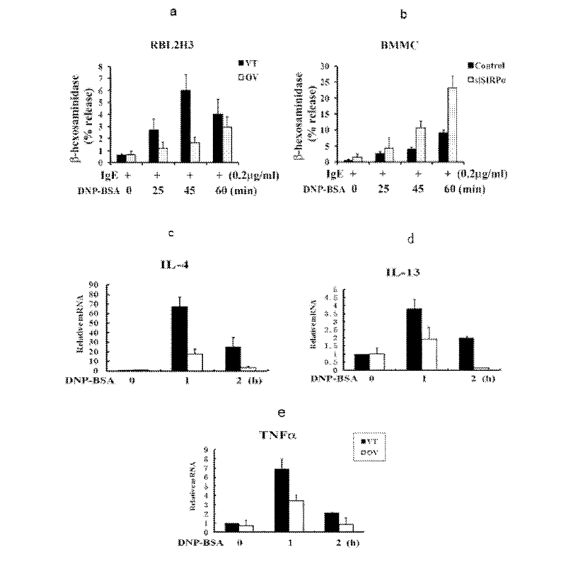 Application of signal-regulatory protein alpha (SIRPalpha) in preparation of medicines for preventing and treating allergic diseases