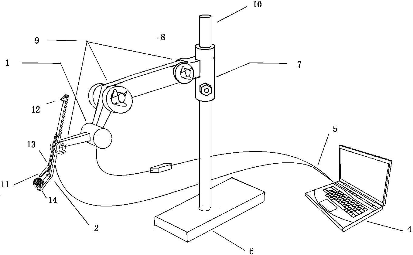 Animal spinal cord injury modeling device