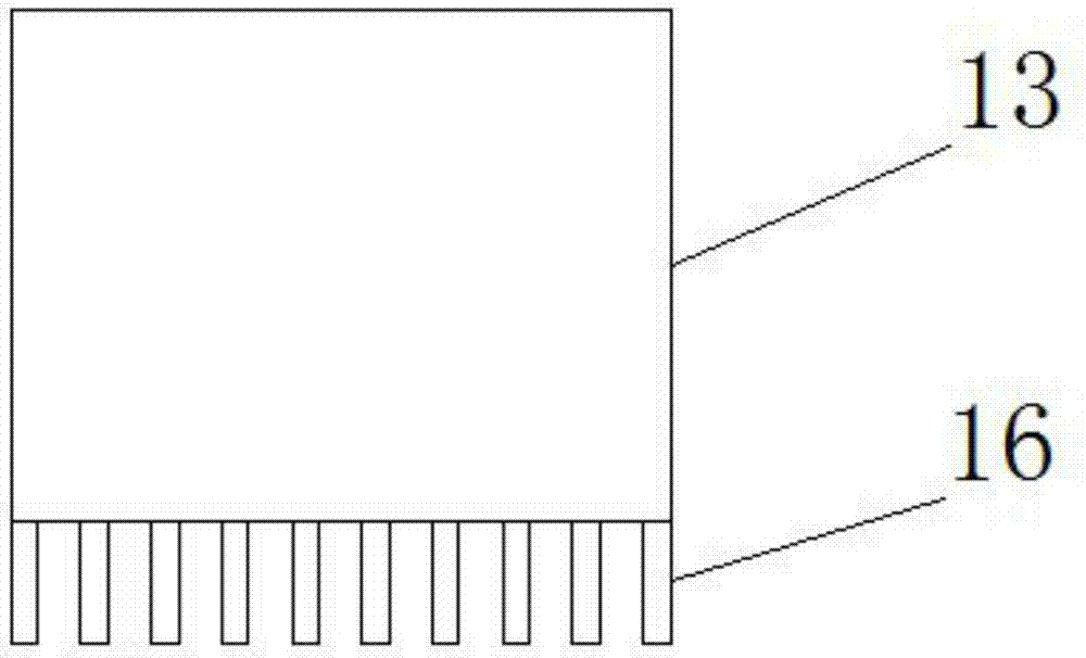 Chrysanthemum drying apparatus