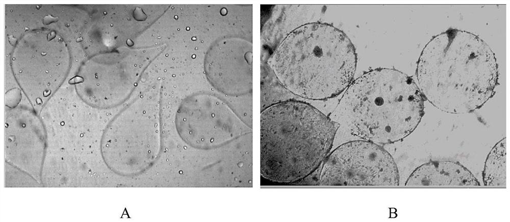 Method and a device for preparing nano-coated oil displacement agent by adopting micro-flow field reaction technology