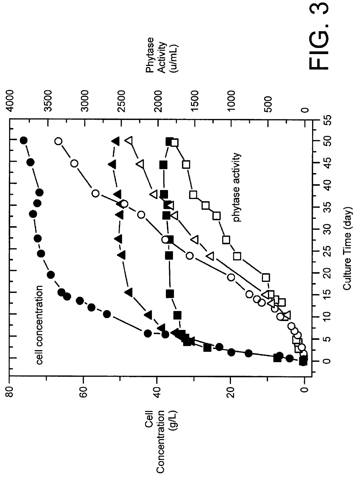 Method for producing phytase