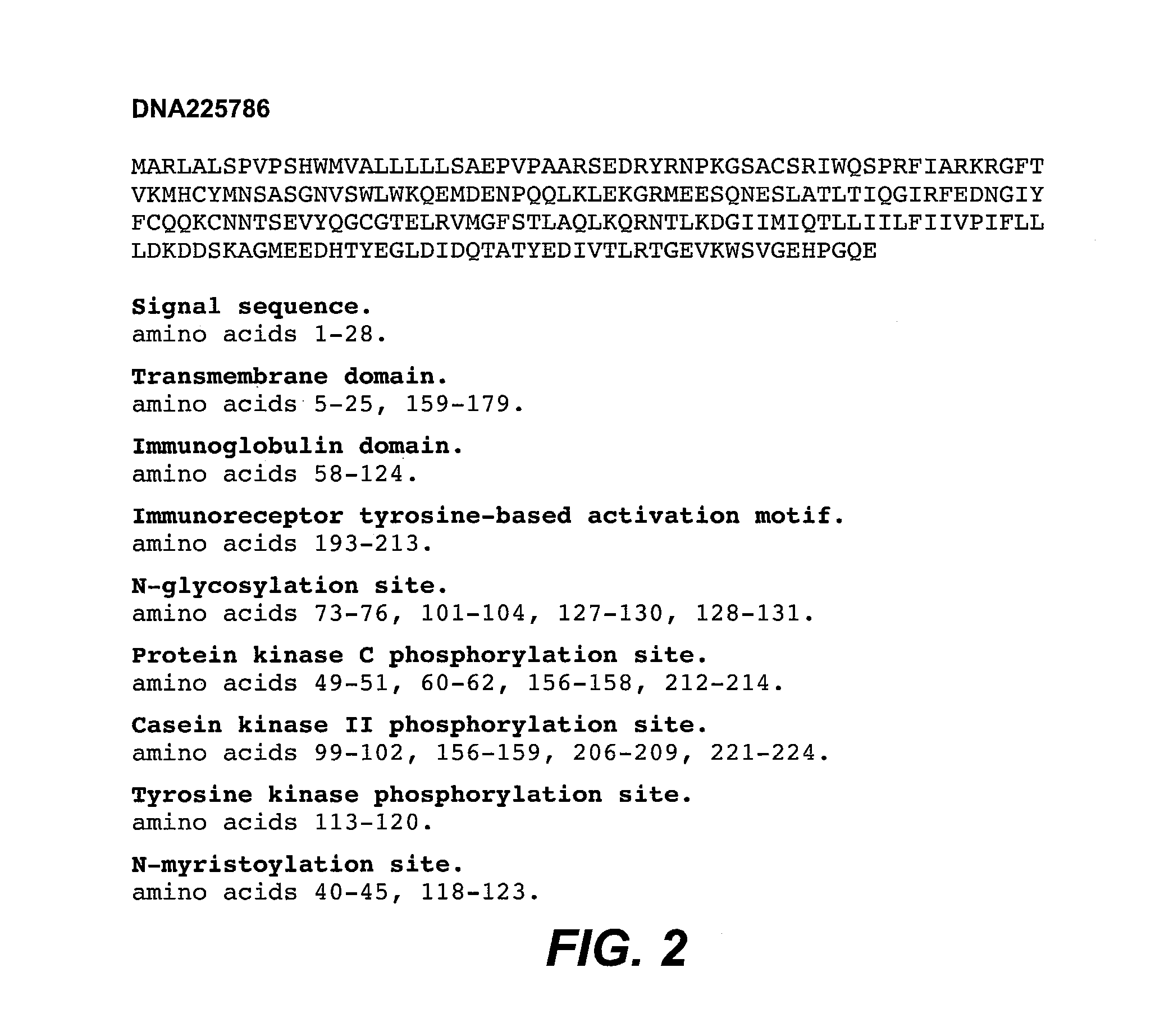 Anti-CD79B antibodies and immunoconjugates and methods of use