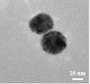 Gold nanoparticles based on hyaluronic acid modification, preparation method of gold nanoparticles, and application of gold nanoparticles as nano-drug carrier