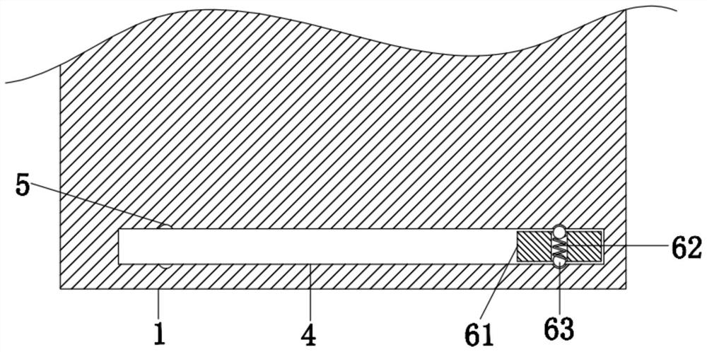 Special examination device for animal husbandry and veterinary