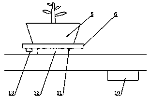 Active vision platform for plant phenotypic acquisition and plant phenotypic acquisition method