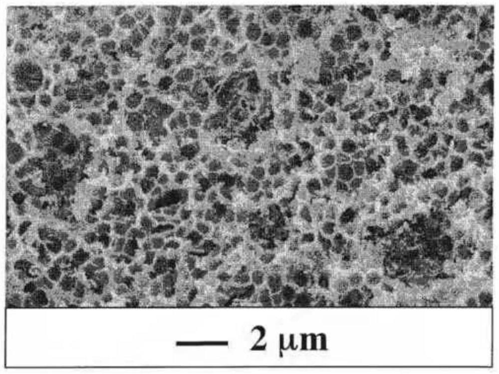 Filtering material for water purification and air deodorization as well as preparation method and application of filtering material