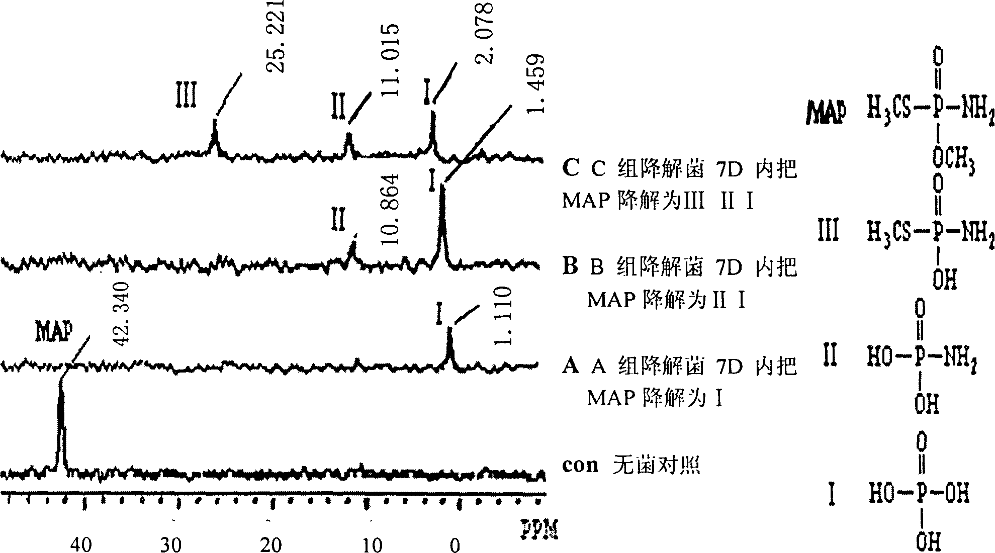 Bacillus alcaigenes and its application for degrading methamidophos