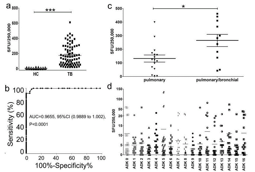 A kind of reagent for detecting specific immune response of Mycobacterium tuberculosis and use thereof