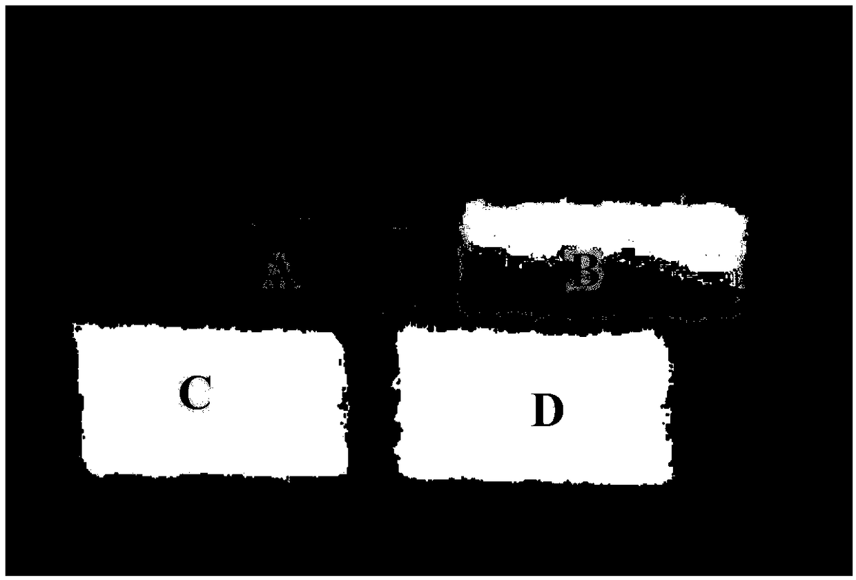 Information processing method of smart shopping cart and smart shopping cart